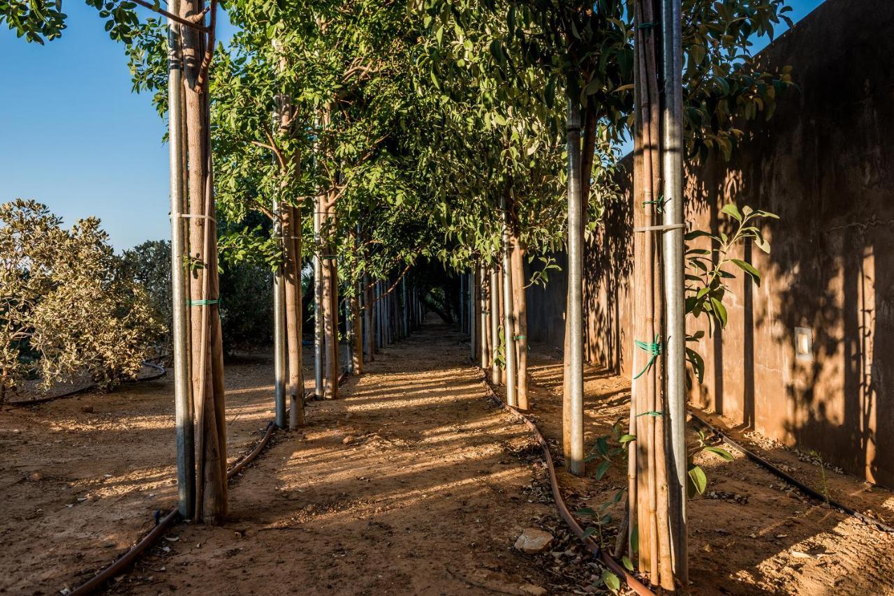 Angel Hill Villa Xirokámbion المظهر الخارجي الصورة